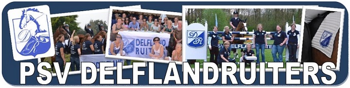 delflandruiters.nl